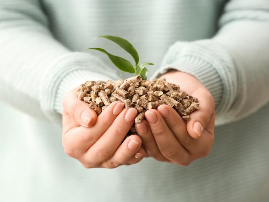 shutterstock_2133756485
